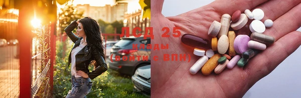 стаф Богородск