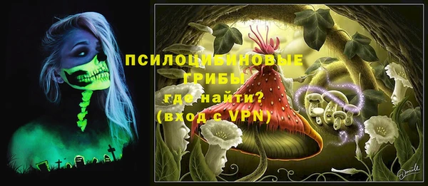 гидра Баксан